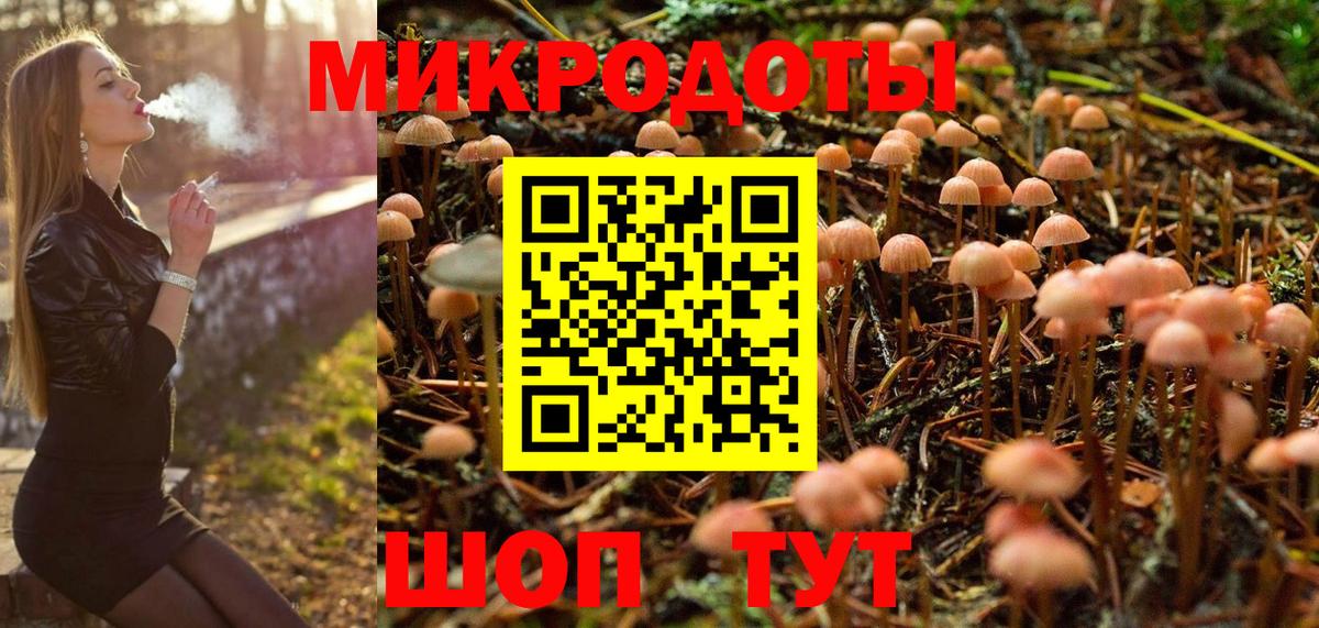 Узловая  Псилоцибиновые грибы Psilocybine cubensis  Вход с VPN  Галлюциногенные грибы ЛСД 
