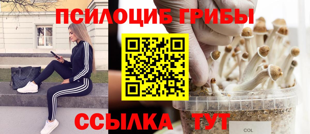 Галлюциногенные грибы Cubensis Узловая
