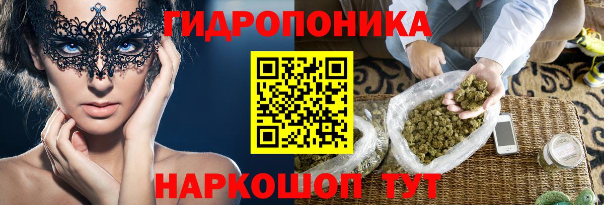 Марихуана гибрид  Канабис семена  Узловая  Канабис White Widow  Вход с VPN 